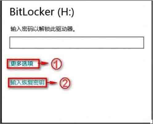 bitlocker密码忘记